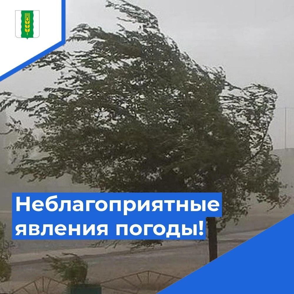 штормовое предупреждение.